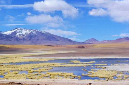 TREKKING NEL DESERTO DI ATACAMA 2015